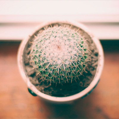 网页在线DDOS压力测试